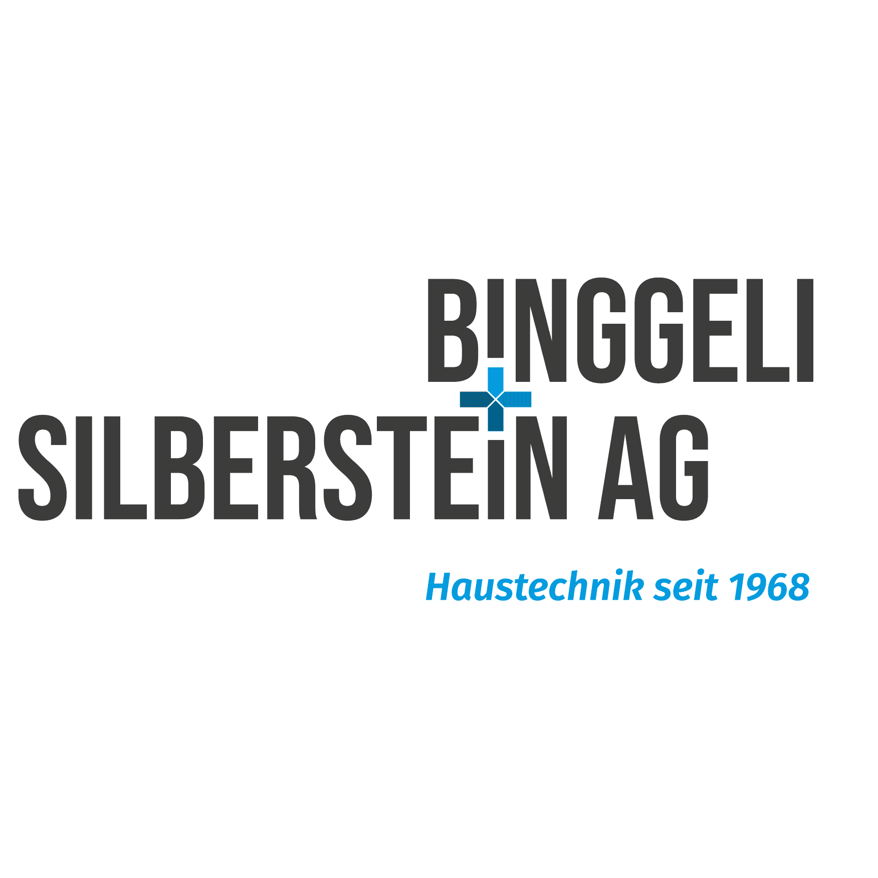 Binggeli und Silberstein AG