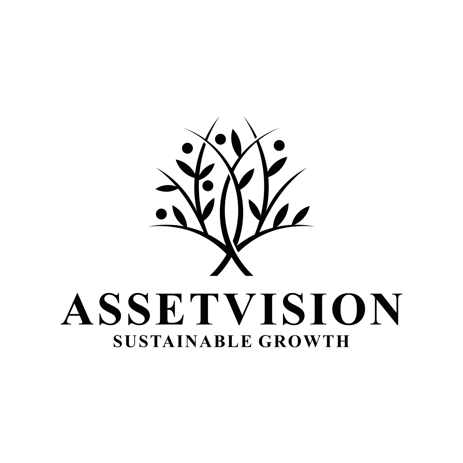 assetvision AG